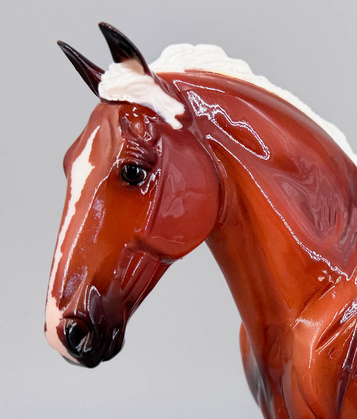 Cleveland Bay ~ Rotating Draft Surprise, GLOSSY Silver Bay from Eleda's herd