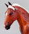 Cleveland Bay ~ Rotating Draft Surprise, GLOSSY Silver Bay from Eleda's herd