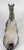 Clydesdale Stallion, Blue Roan - Sears SR from Eleda's herd