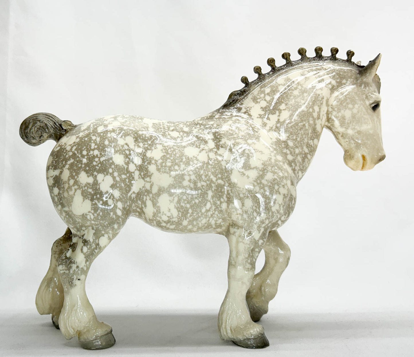 Clydesdale Stallion, Glossy Dapple Grey