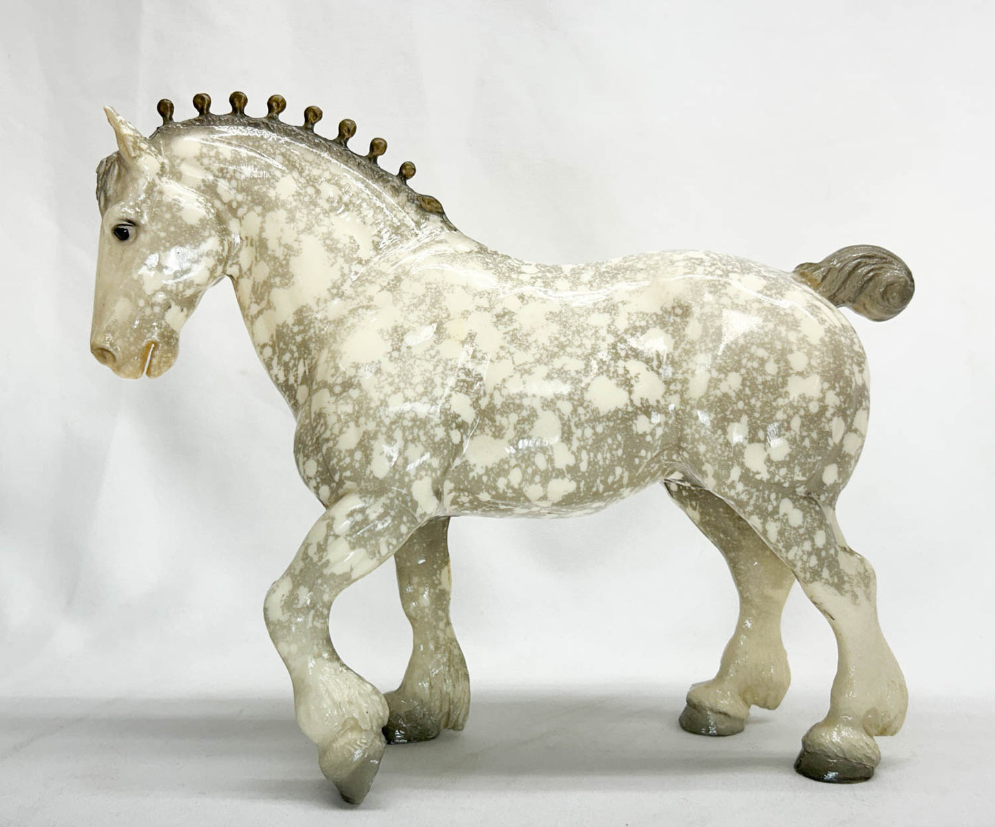 Clydesdale Stallion, Glossy Dapple Grey