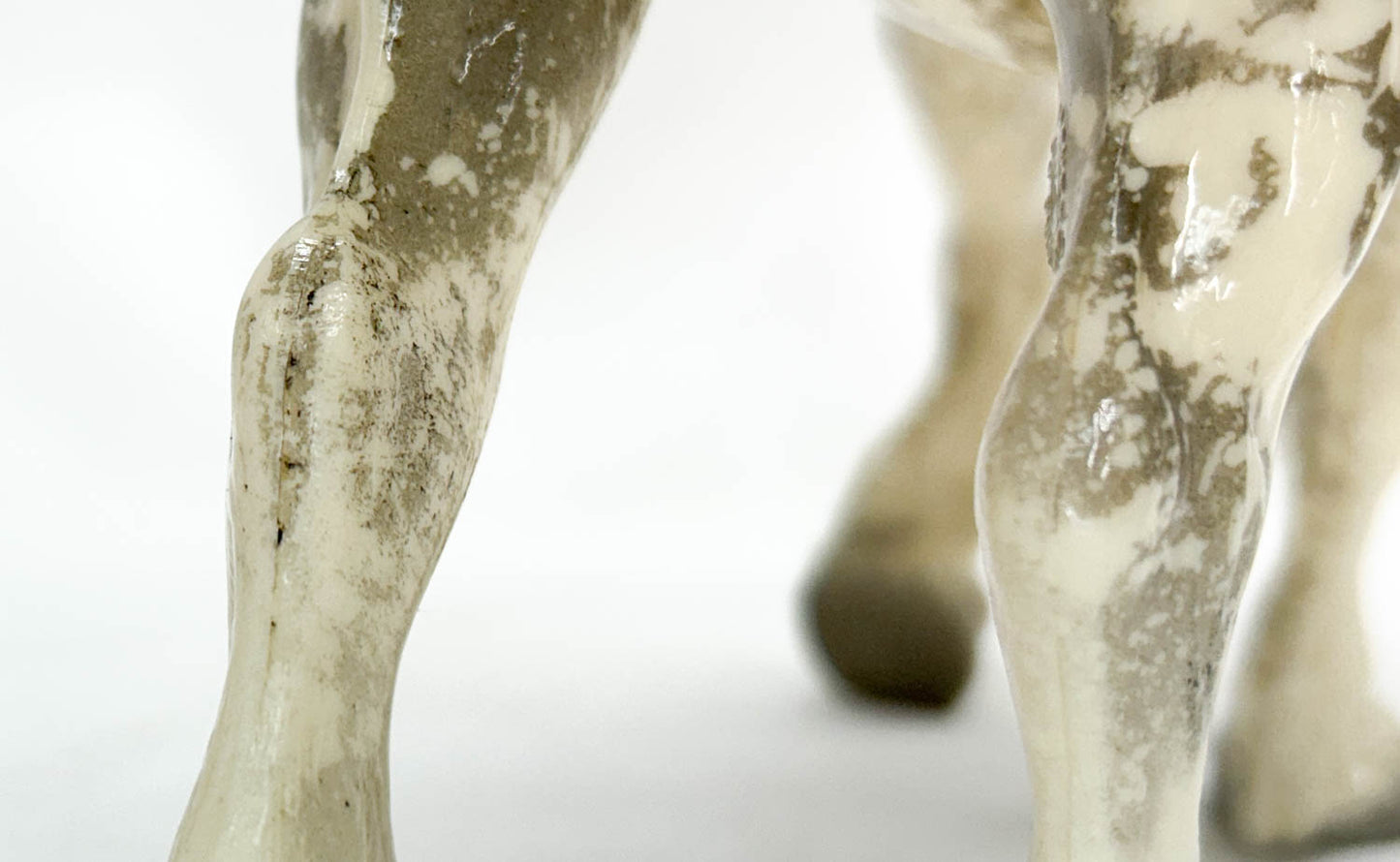 Clydesdale Stallion, Glossy Dapple Grey