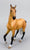 CollectA Body Lot: Akhal Teke, Fjord, Oldenburg