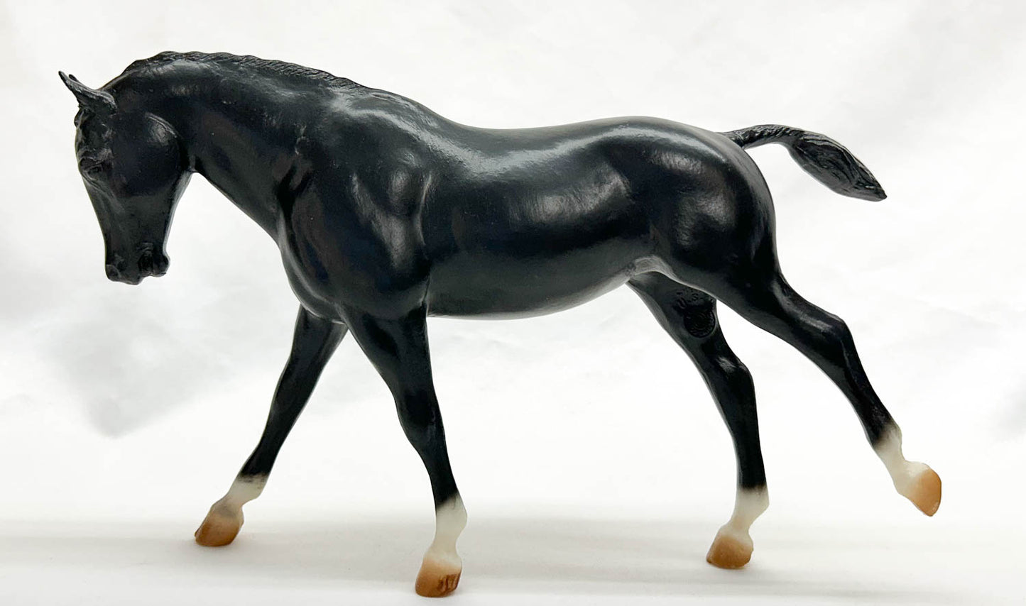 Cantering Welsh Pony, Black - Sears SR