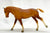 Cantering Welsh Pony, Chestnut w/ Red Bands