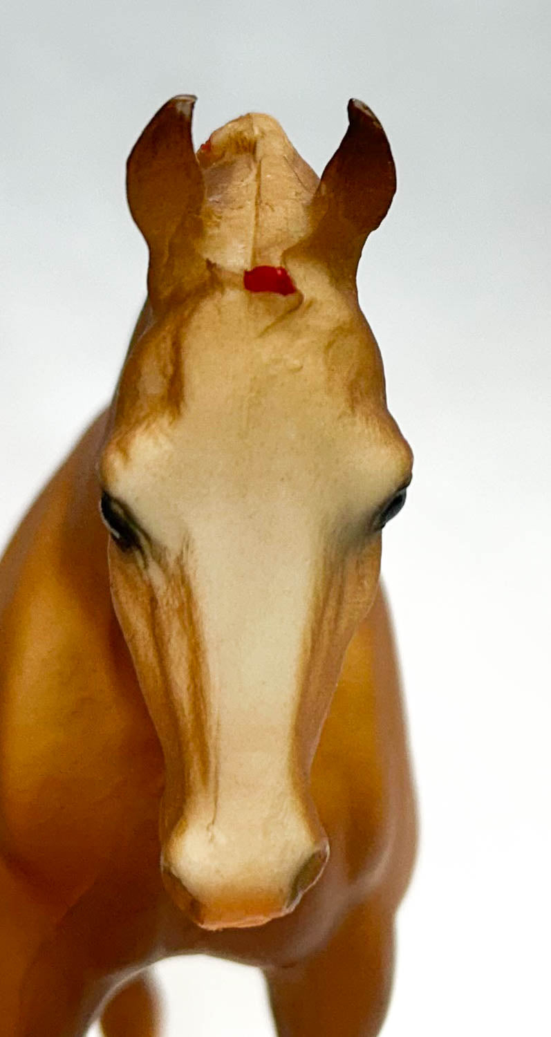 Cantering Welsh Pony, Chestnut w/ Red Bands