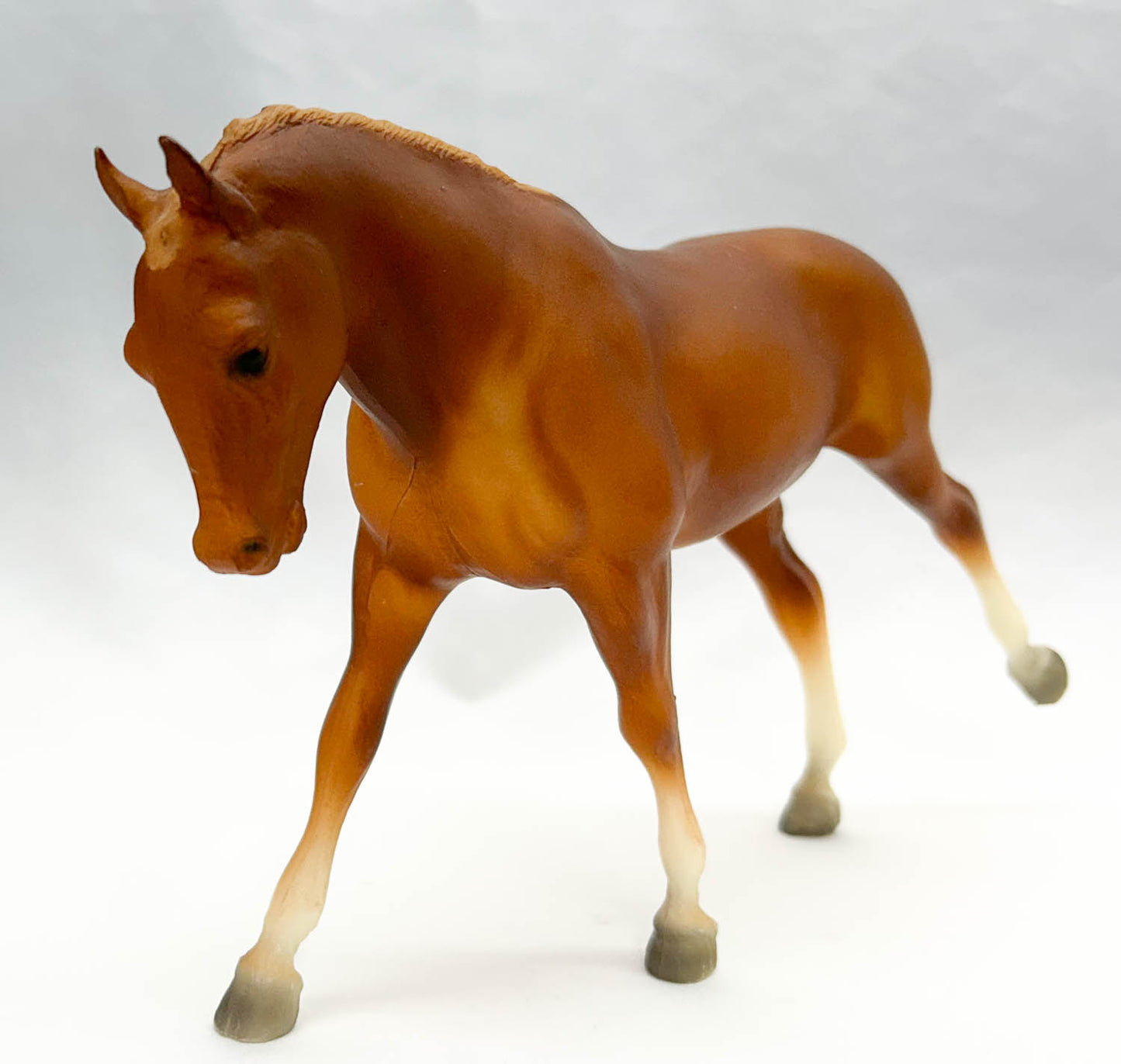 Cantering Welsh Pony, Chestnut (unpainted Mane Bands)