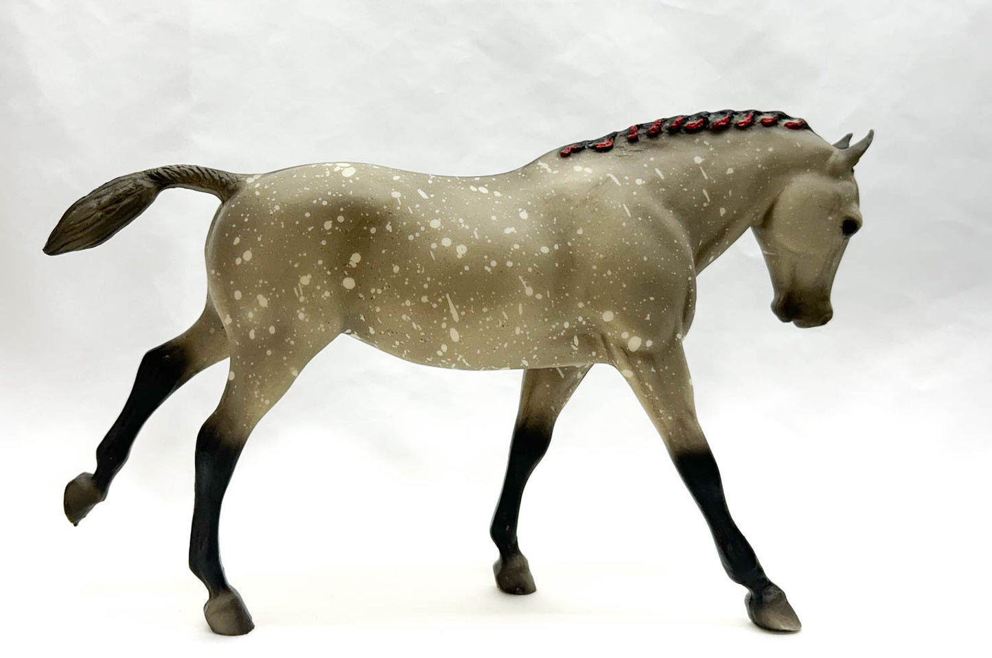 Cantering Welsh Pony, Dapple Grey - JAH SR from Eleda's herd