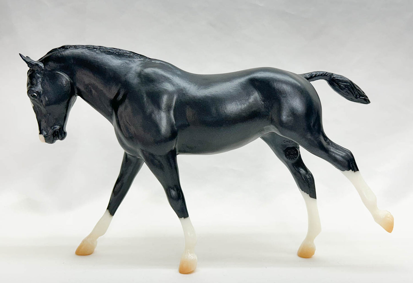 Cantering Welsh Pony ~ Kohl - Holiday Web Special 2022 from Eleda's herd