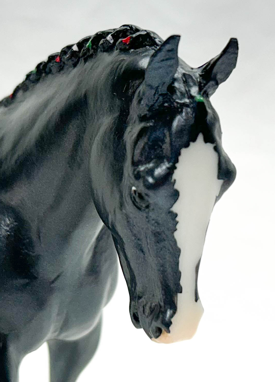 Cantering Welsh Pony ~ Kohl - Holiday Web Special 2022 from Eleda's herd