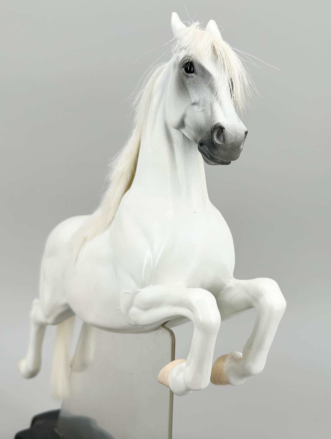 Ertl Lipizzaner Performing Capriole