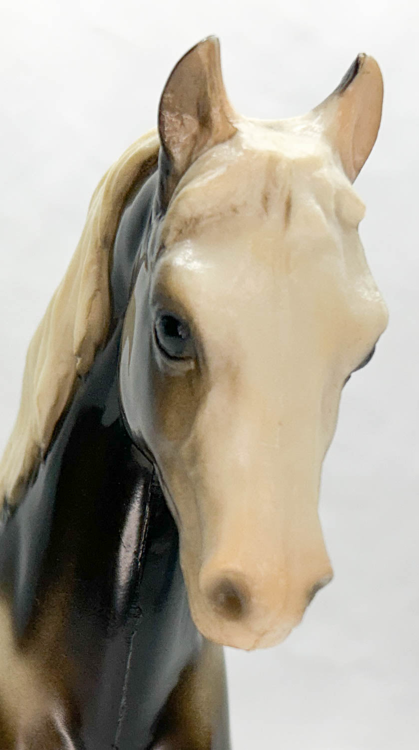 Family Arabian Stallion ~ Hickory, Charcoal - Glossy w/ Eye Whites