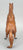 Fighting Stallion, Woodgrain