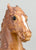 Fighting Stallion, Woodgrain