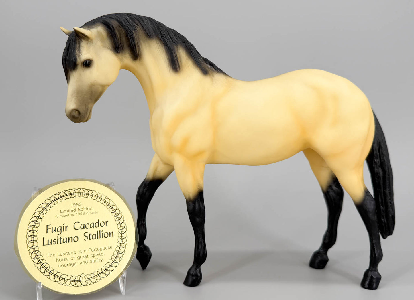 Foundation Stallion - Fugir Caçador - Lusitano from Eleda's herd