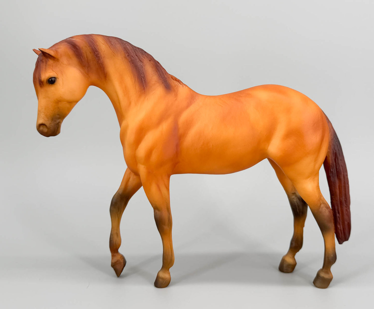 Foundation Stallion ~ Gen. Stonewall Jackson's Little Sorrel