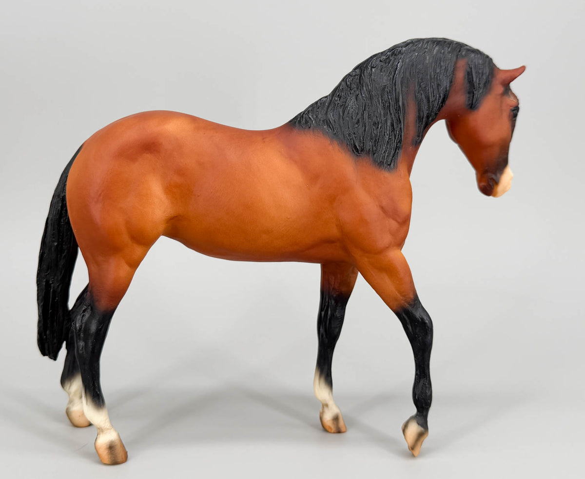 Foundation Stallion ~ Titan Glory from Eleda's herd