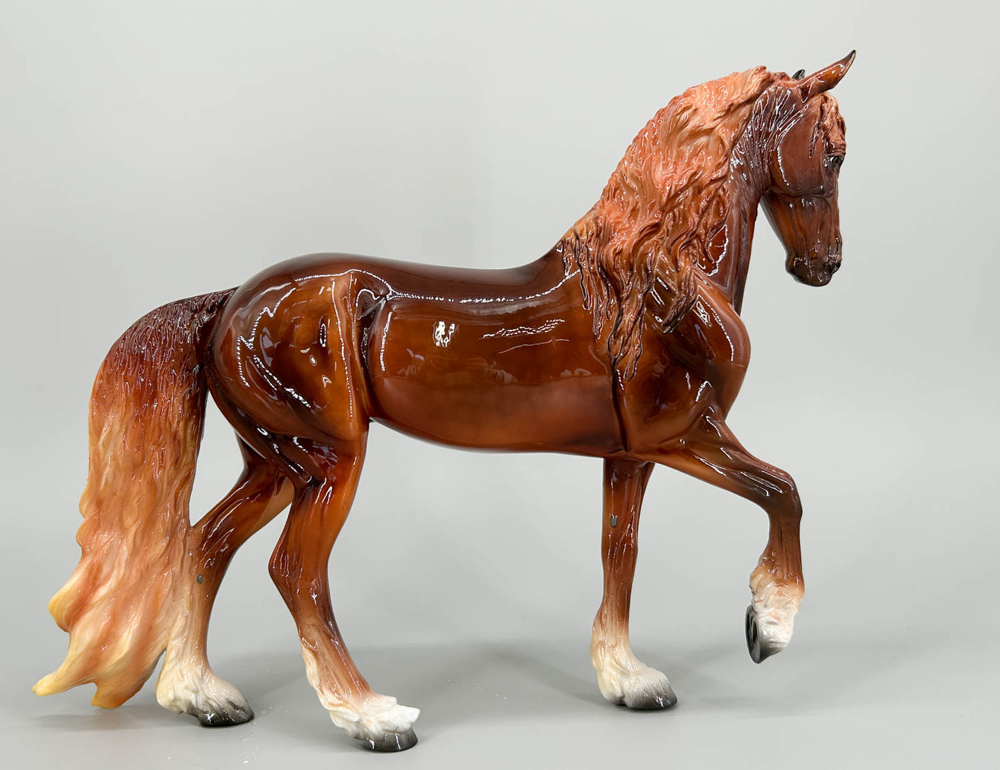 Friesian Sporthorse ~ Juriaan - Web Special