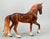 Friesian Sporthorse ~ Juriaan - Web Special