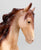 Friesian Sporthorse ~ Scandi Surprise - Amber Champagne Matte - BreyerFest 2026 SR