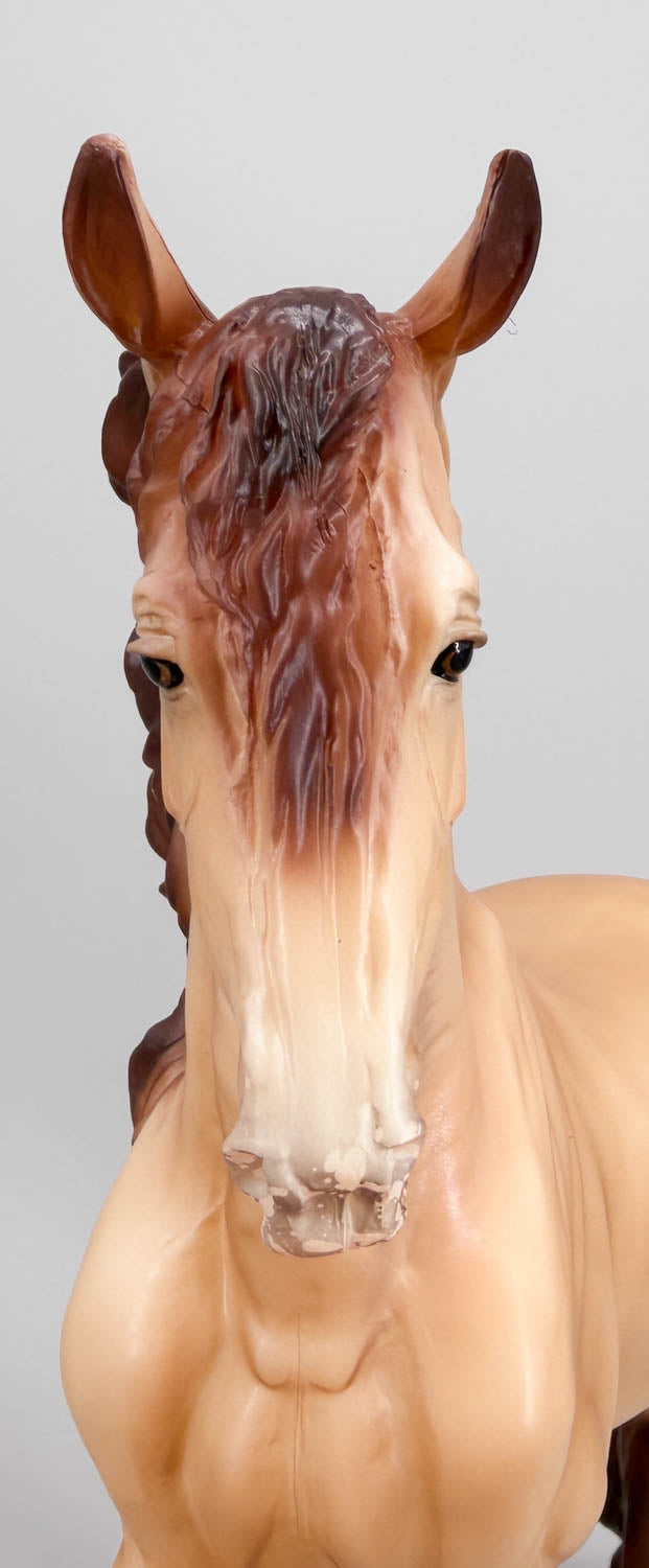 Friesian Sporthorse ~ Scandi Surprise - Amber Champagne Matte - BreyerFest 2026 SR