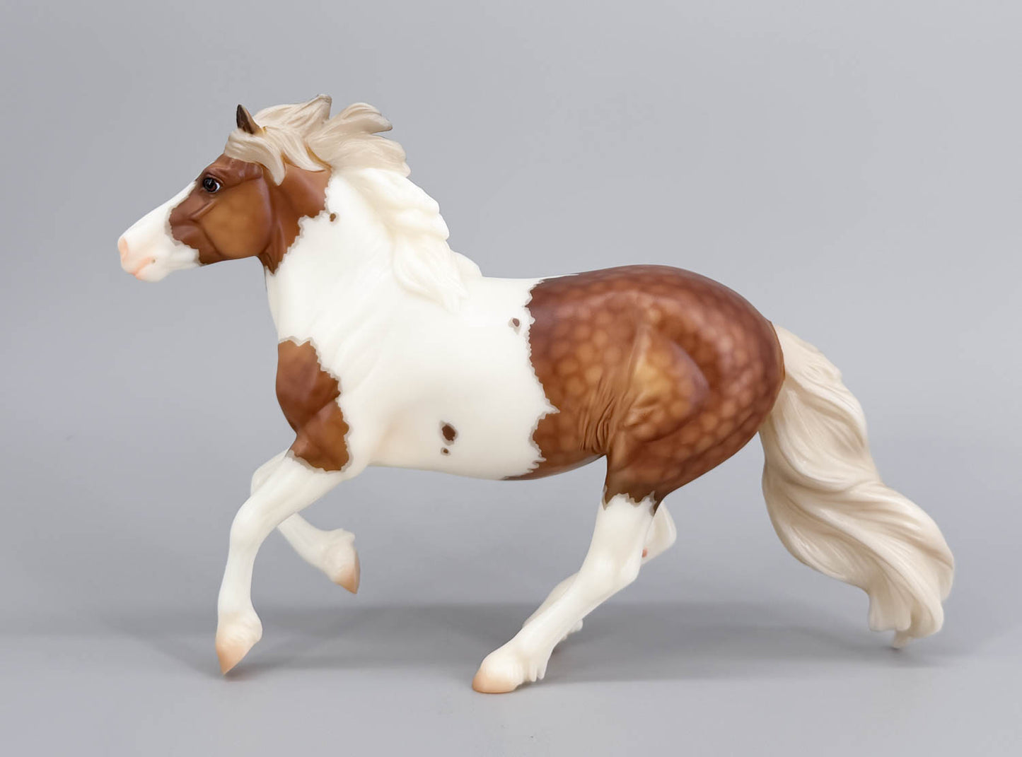 Cantering Shetland Pony ~ Waffles - 2026 Premier Club