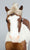 Cantering Shetland Pony ~ Waffles - 2026 Premier Club
