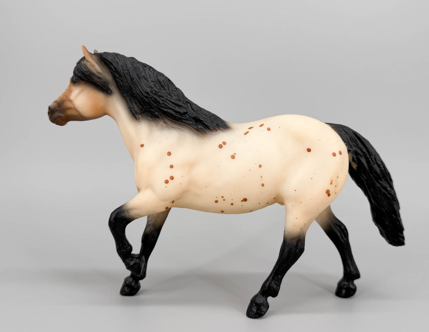 Haflinger ~ Scat Cat - Children's Pony