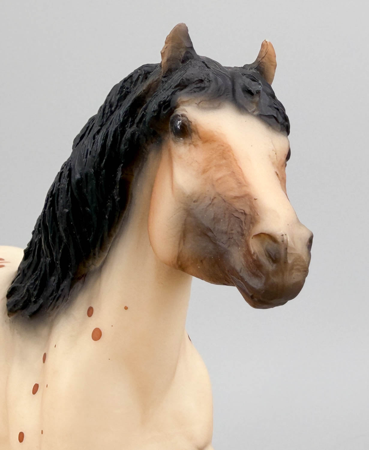 Haflinger ~ Scat Cat - Children's Pony