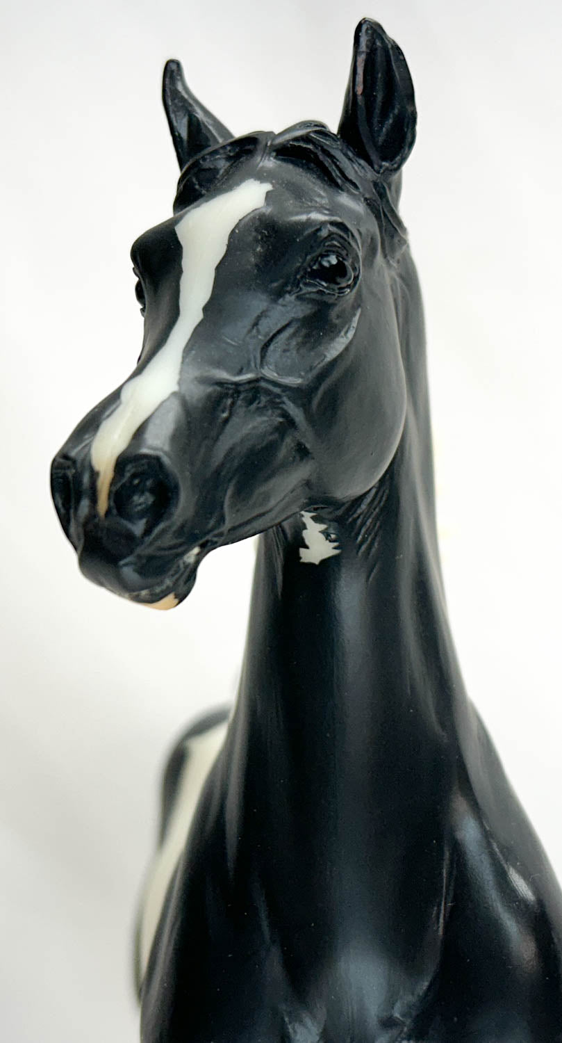 Huckleberry Bay ~ TS Black Tie Affair w/ Steel Base