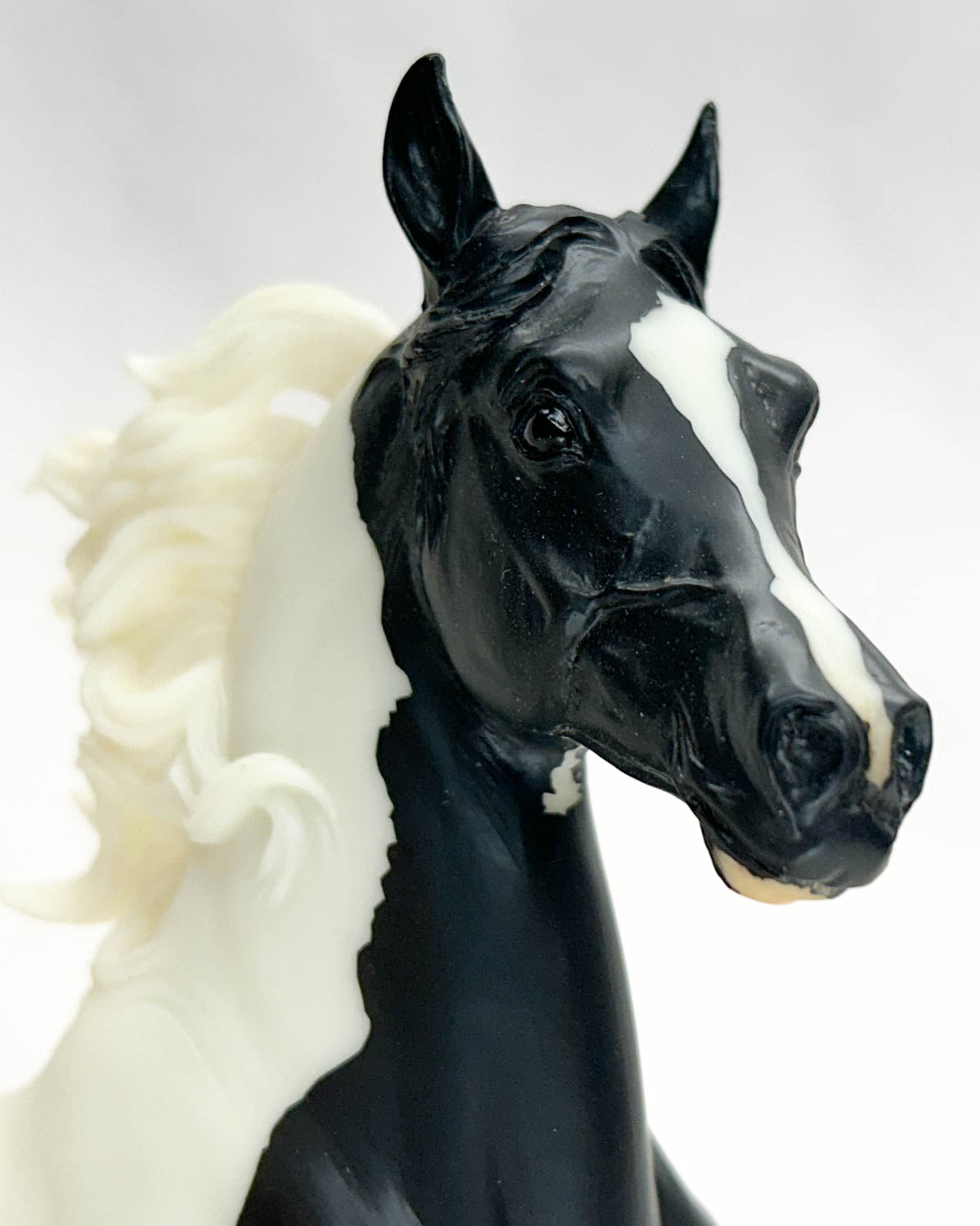 Huckleberry Bay ~ TS Black Tie Affair w/ Steel Base