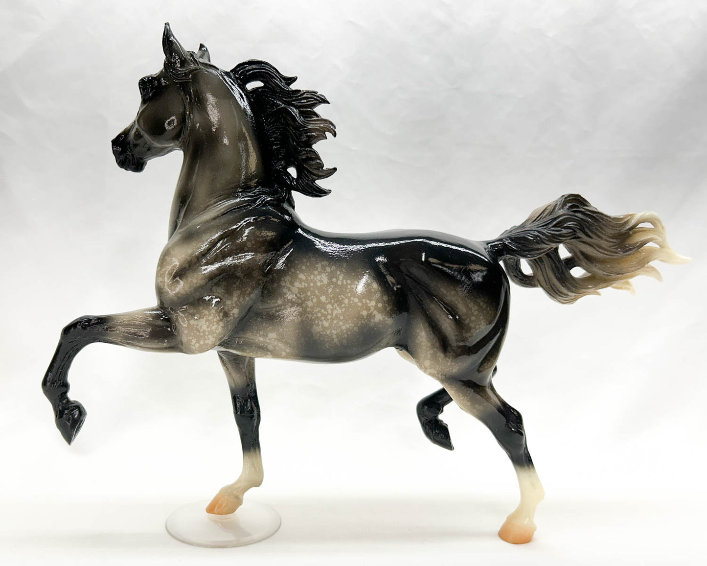 Huckleberry Bey ~ Paradigm - QVC SR