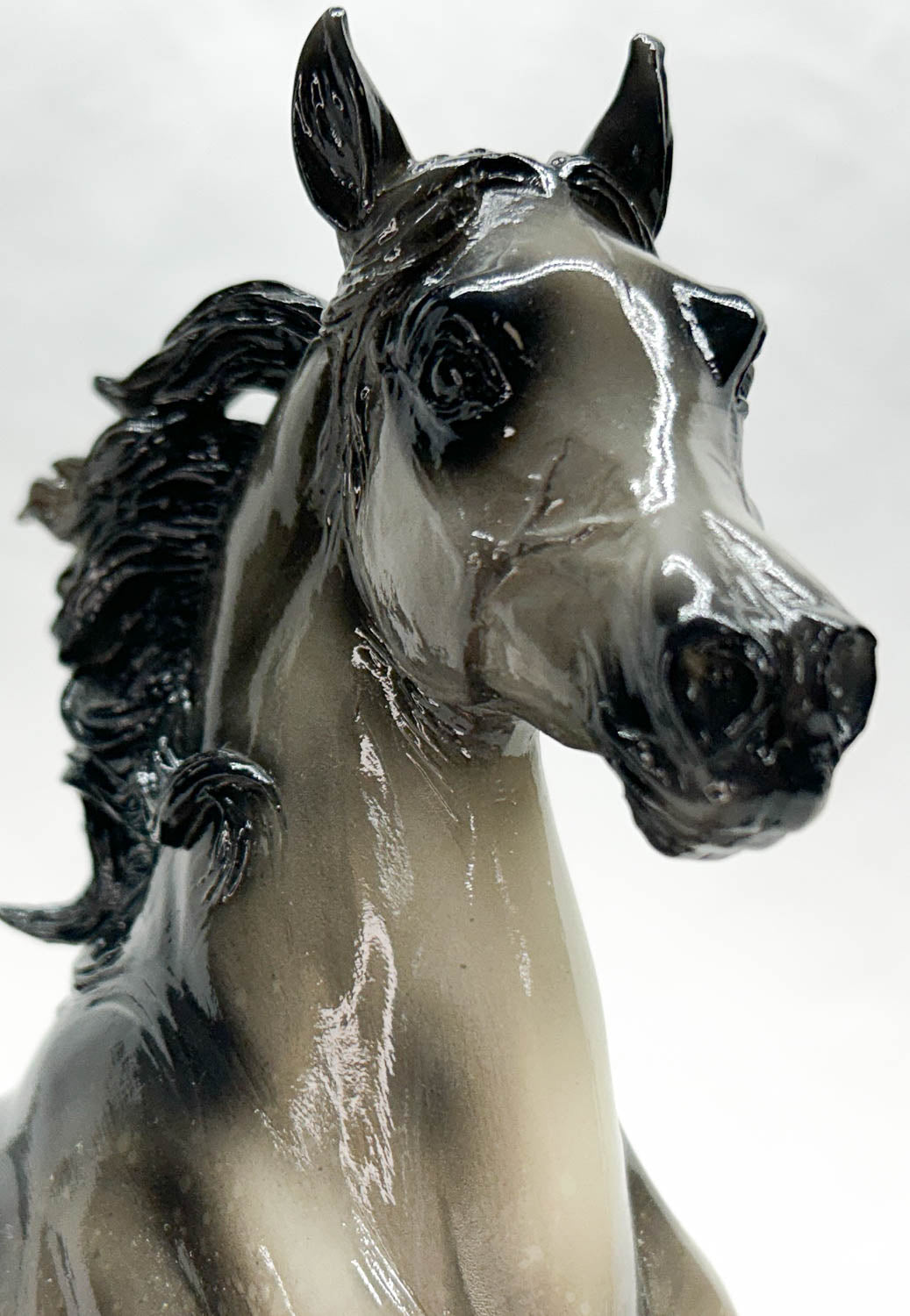 Huckleberry Bey ~ Paradigm - QVC SR