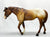 Indian Pony, Chestnut Appaloosa from Eleda's herd