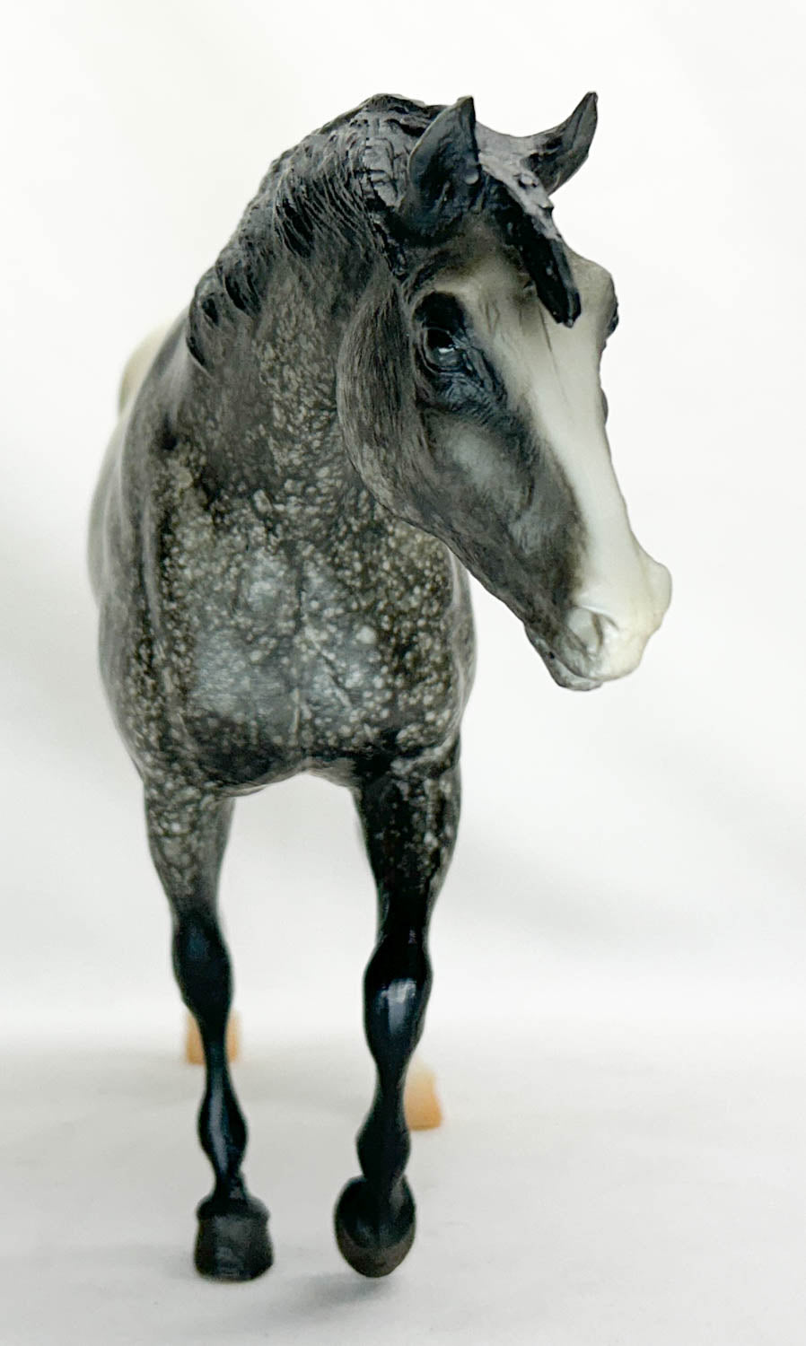 Indian Pony ~ Prairie Song - Jamboree SR