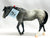 Indian Pony ~ Prairie Song - Jamboree SR