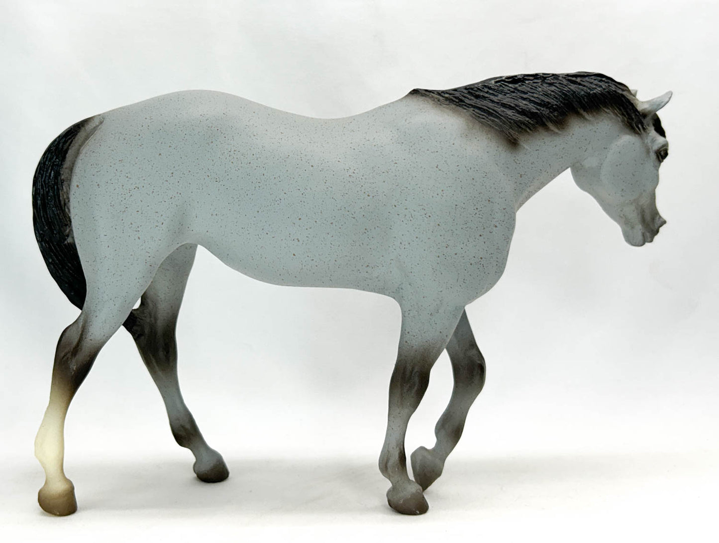 Indian Pony ~ Ichilay - Fire Arrow Warpaint from Eleda's herd