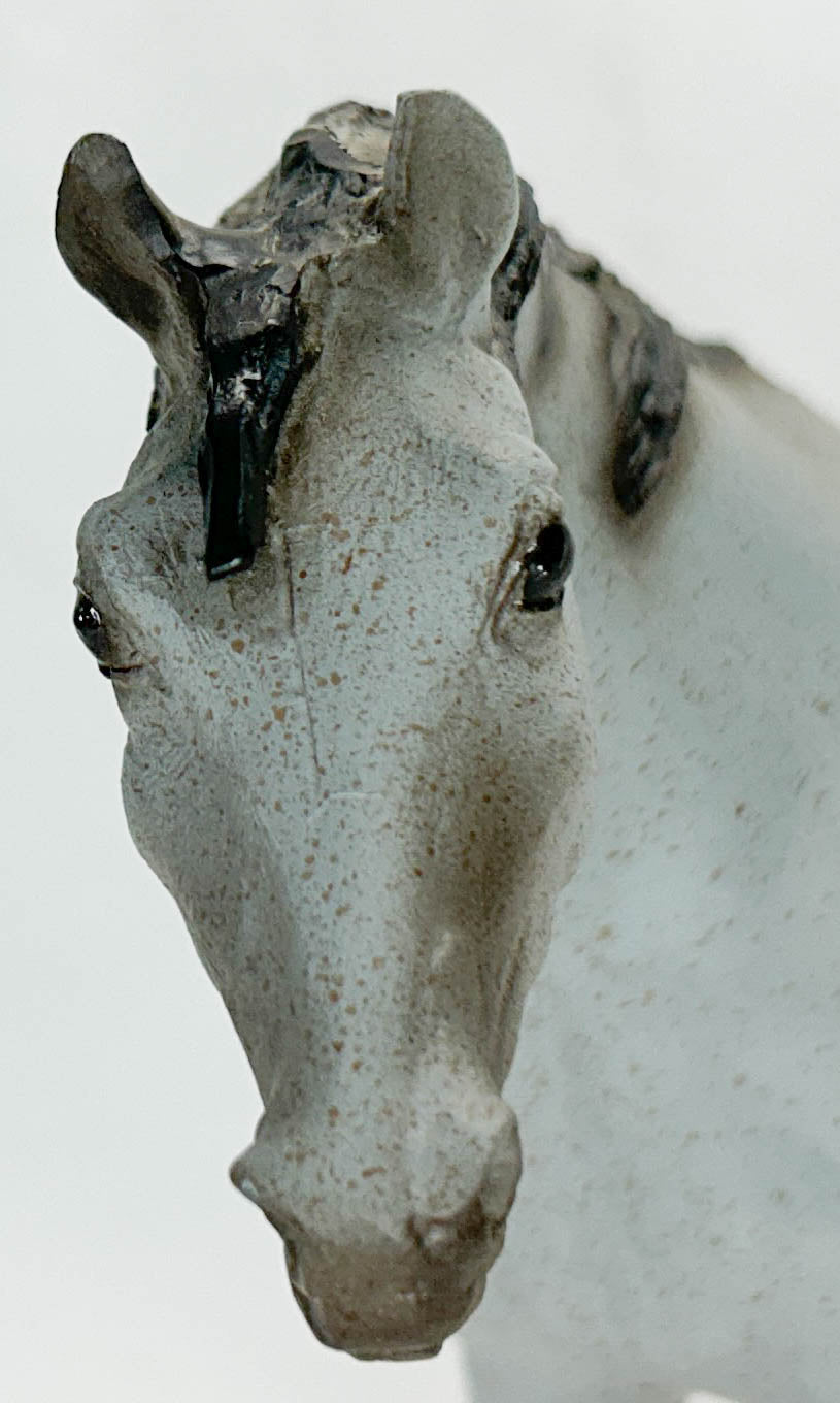 Indian Pony ~ Ichilay - Fire Arrow Warpaint from Eleda's herd