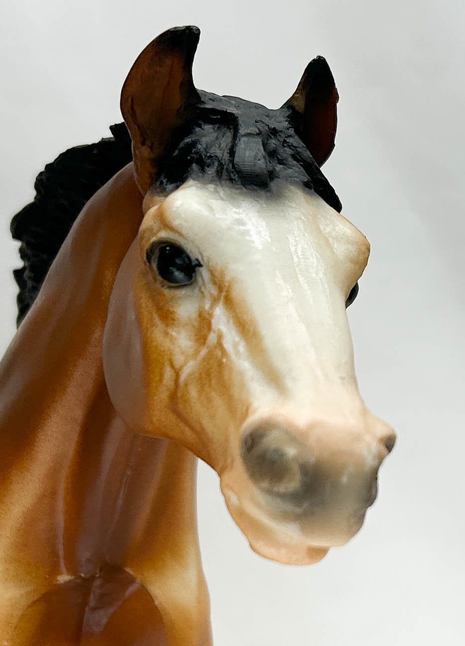 CHRISTMAS AUCTION: Jumping Horse, Bay - Diagonal Socks, Blue Ribbon Sticker & Chicago Shipping Box