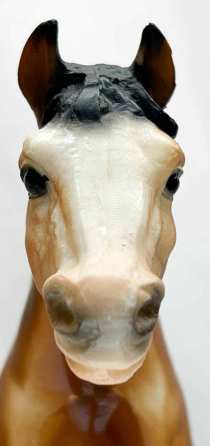 CHRISTMAS AUCTION: Jumping Horse, Bay - Diagonal Socks, Blue Ribbon Sticker & Chicago Shipping Box