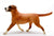 Labrador Retriever, Tan and White from ASPCA Benefit Animal Rescue Gift Set