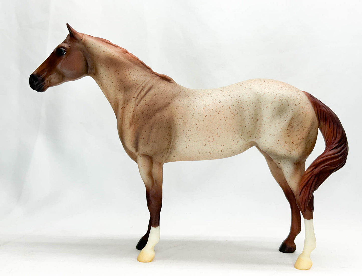 Lady Phase ~ Red Rock - Mid-States SR