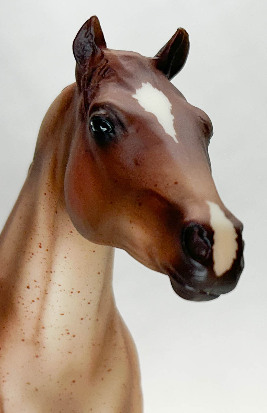 Lady Phase ~ Red Rock - Mid-States SR