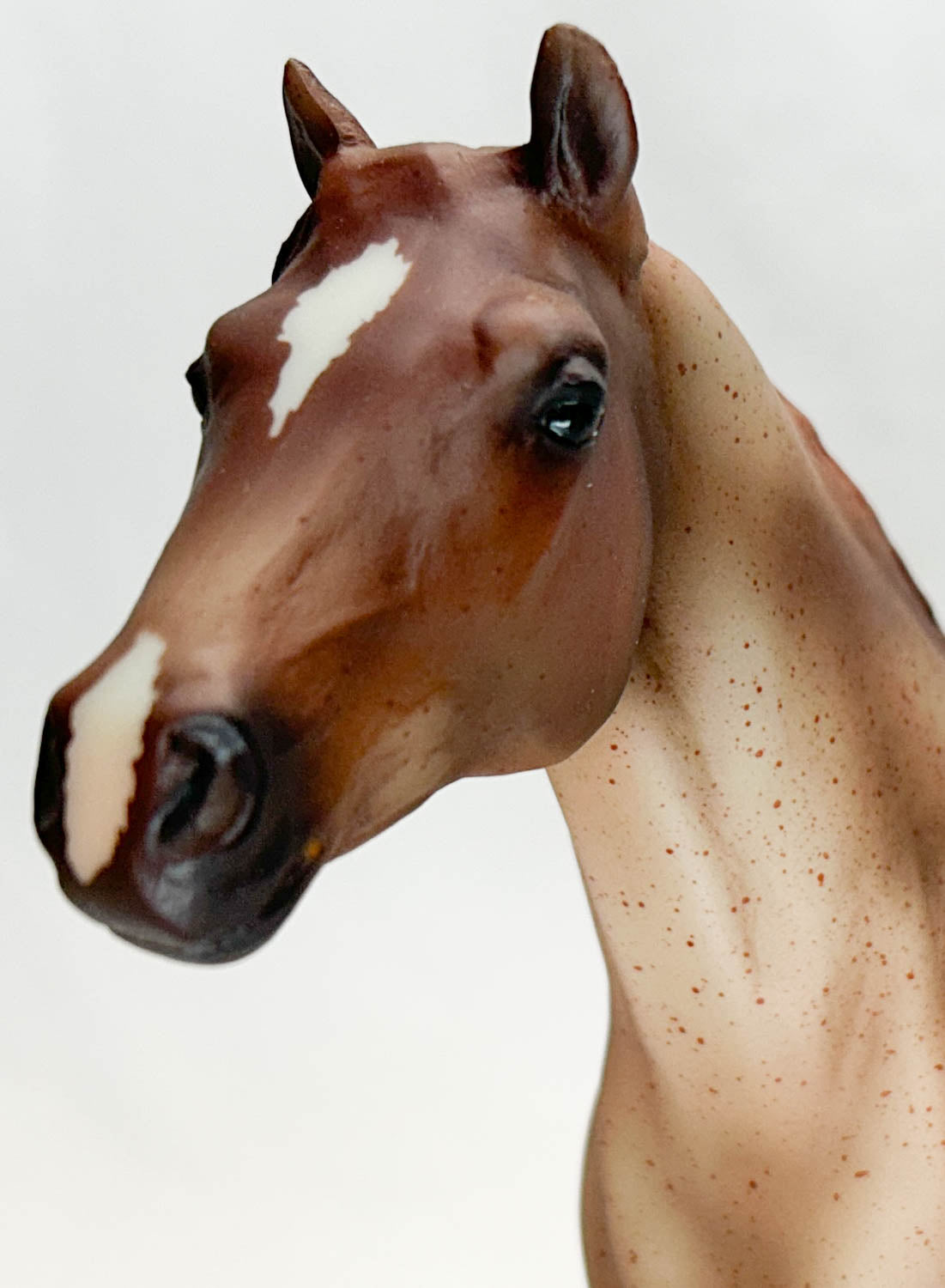 Lady Phase ~ Red Rock - Mid-States SR