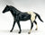 Quarter Horse Stallion, Black Appaloosa VARIATION:  No Spots!