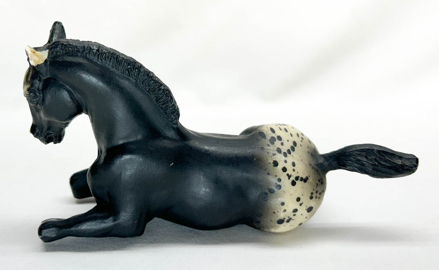 Lying Foal, Black Appaloosa (Body)