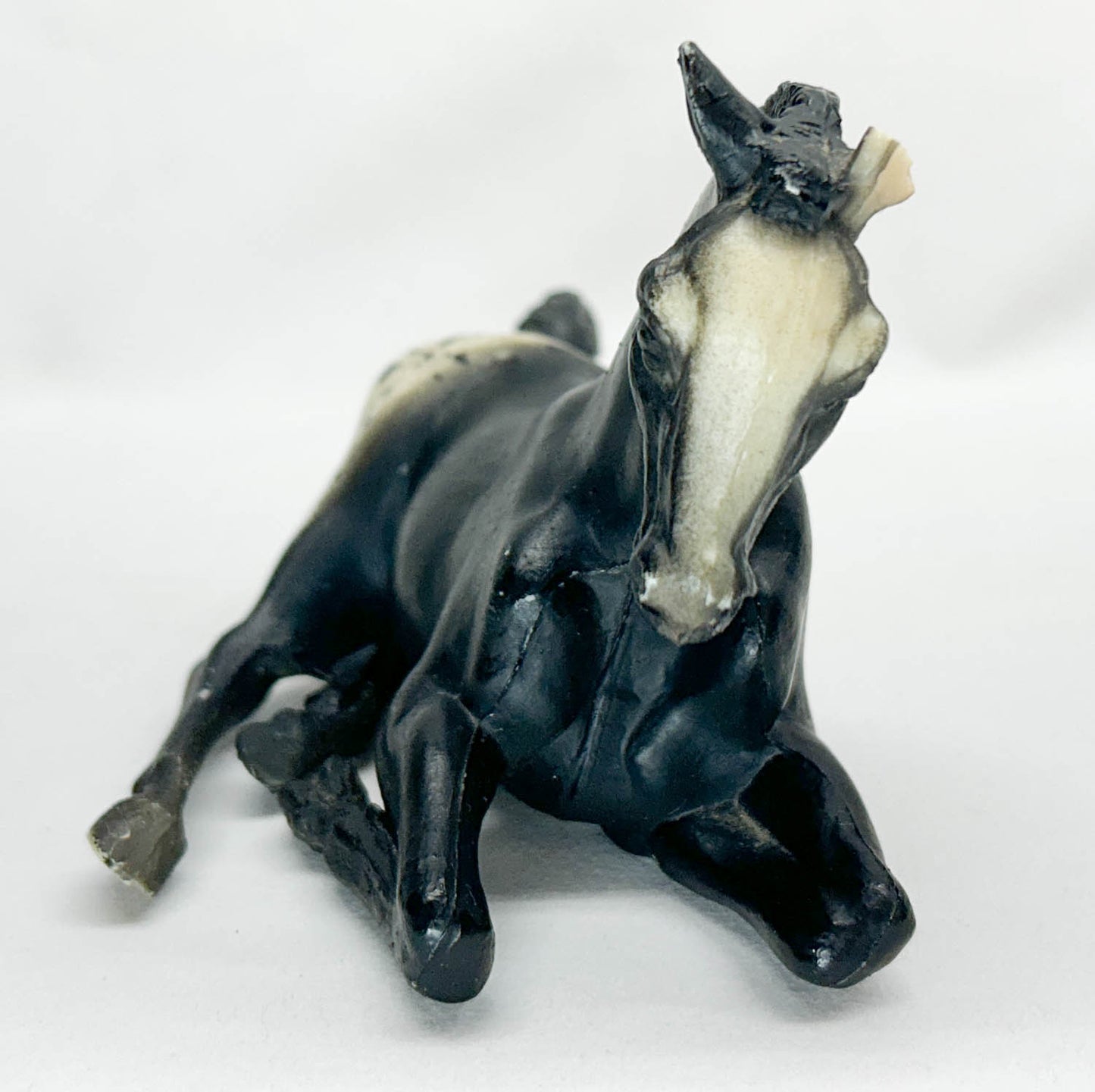Lying Foal, Black Appaloosa (Body)