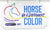 Magnet - Breyerfest 2021  ~ Horse of a Different Color