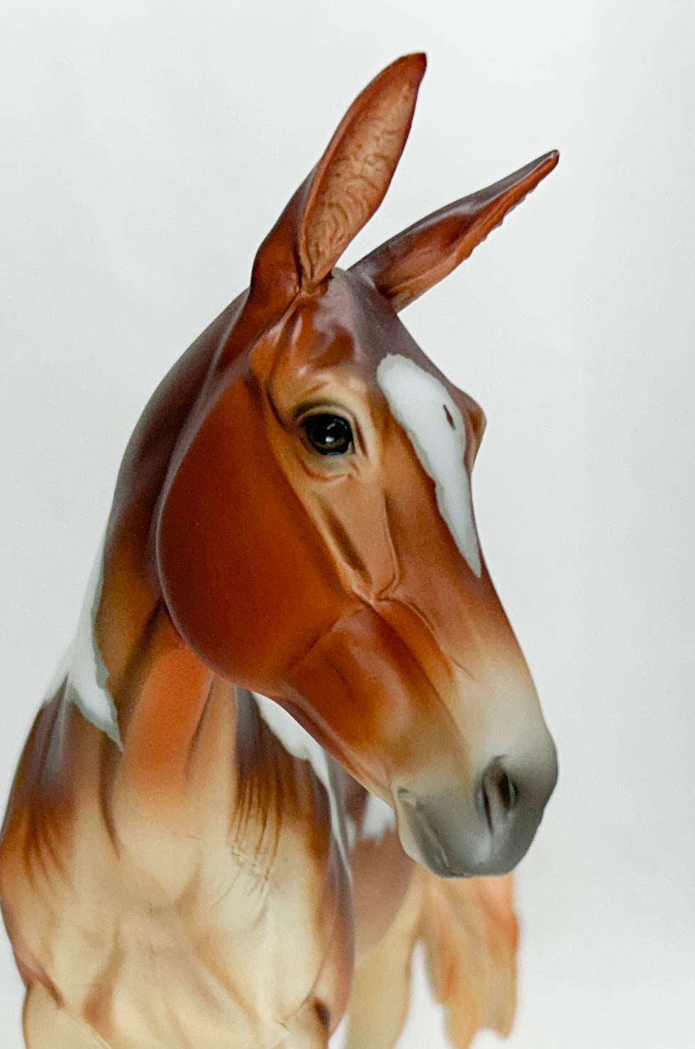 Standing Molly Mule ~ Winnifred - 2025 Premier Club