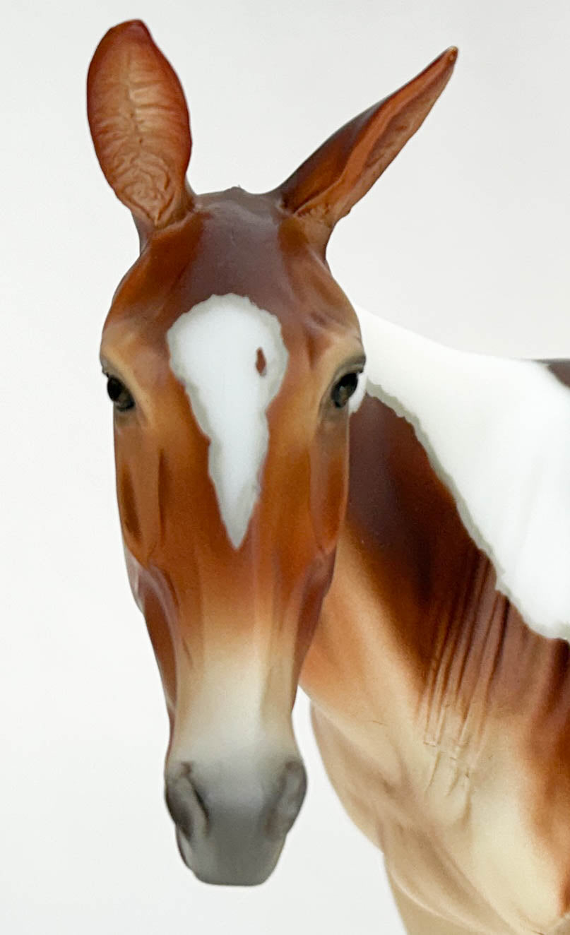 Standing Molly Mule ~ Winnifred - 2025 Premier Club